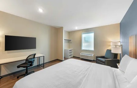 Studio Suite - 1 Queen Bed