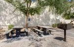 Picnic Area