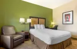 Studio Suite - 1 Queen Bed