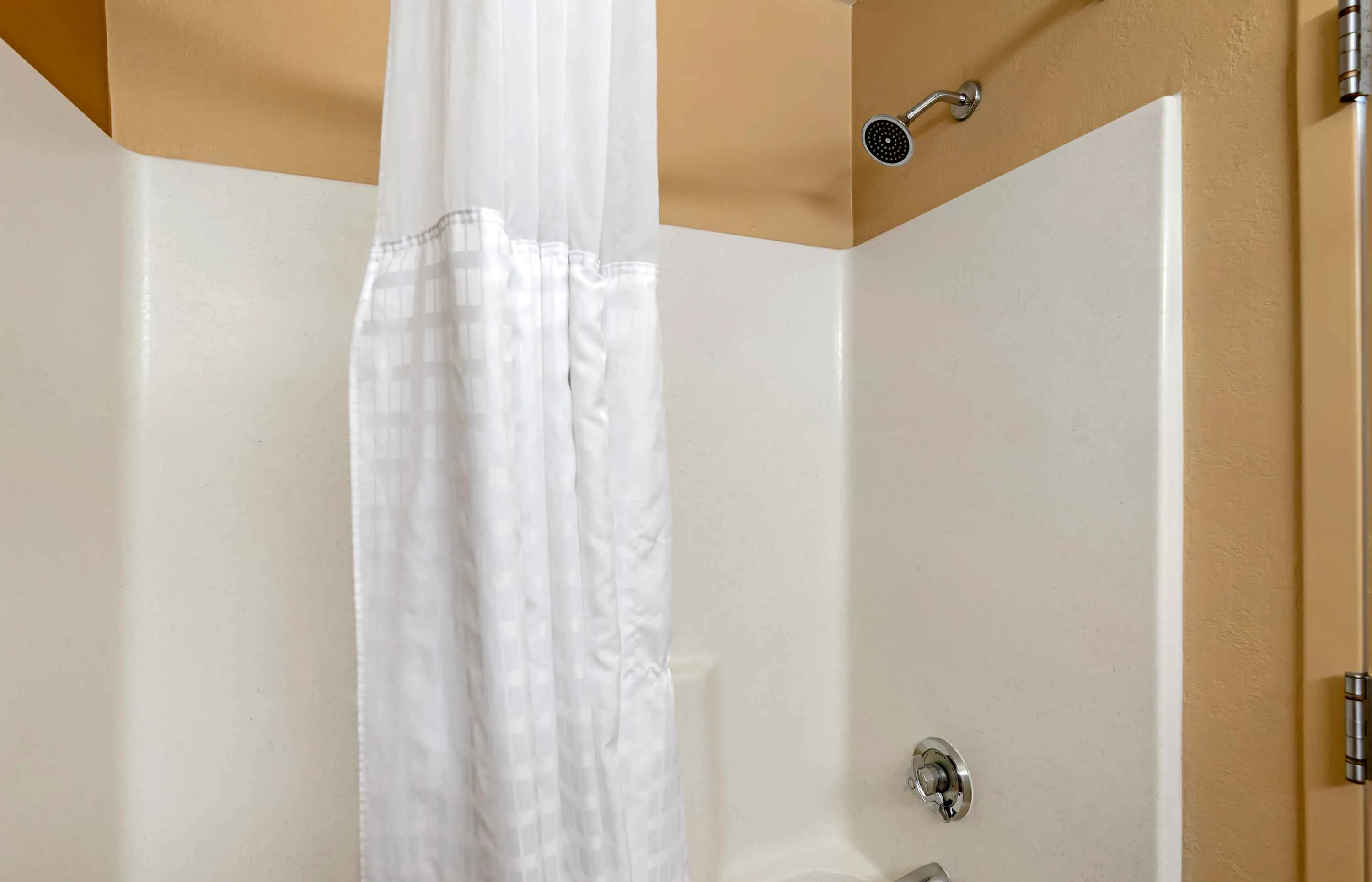 Studio Suite - 2 Full Beds