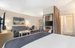 Deluxe Studio - 1 King Bed