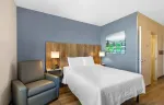 Studio Suite - 1 Queen Bed