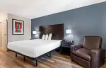 Studio Suite - 1 King Bed