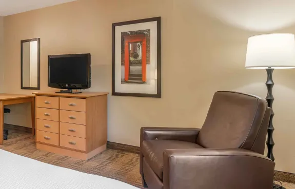 Studio Suite - 2 Full Beds