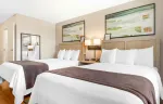 Studio Suite - 2 Queen Beds