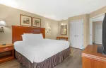 1 Bedroom Suite - 1 King Bed