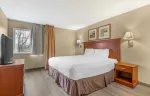 1 Bedroom Suite - 1 Queen Bed