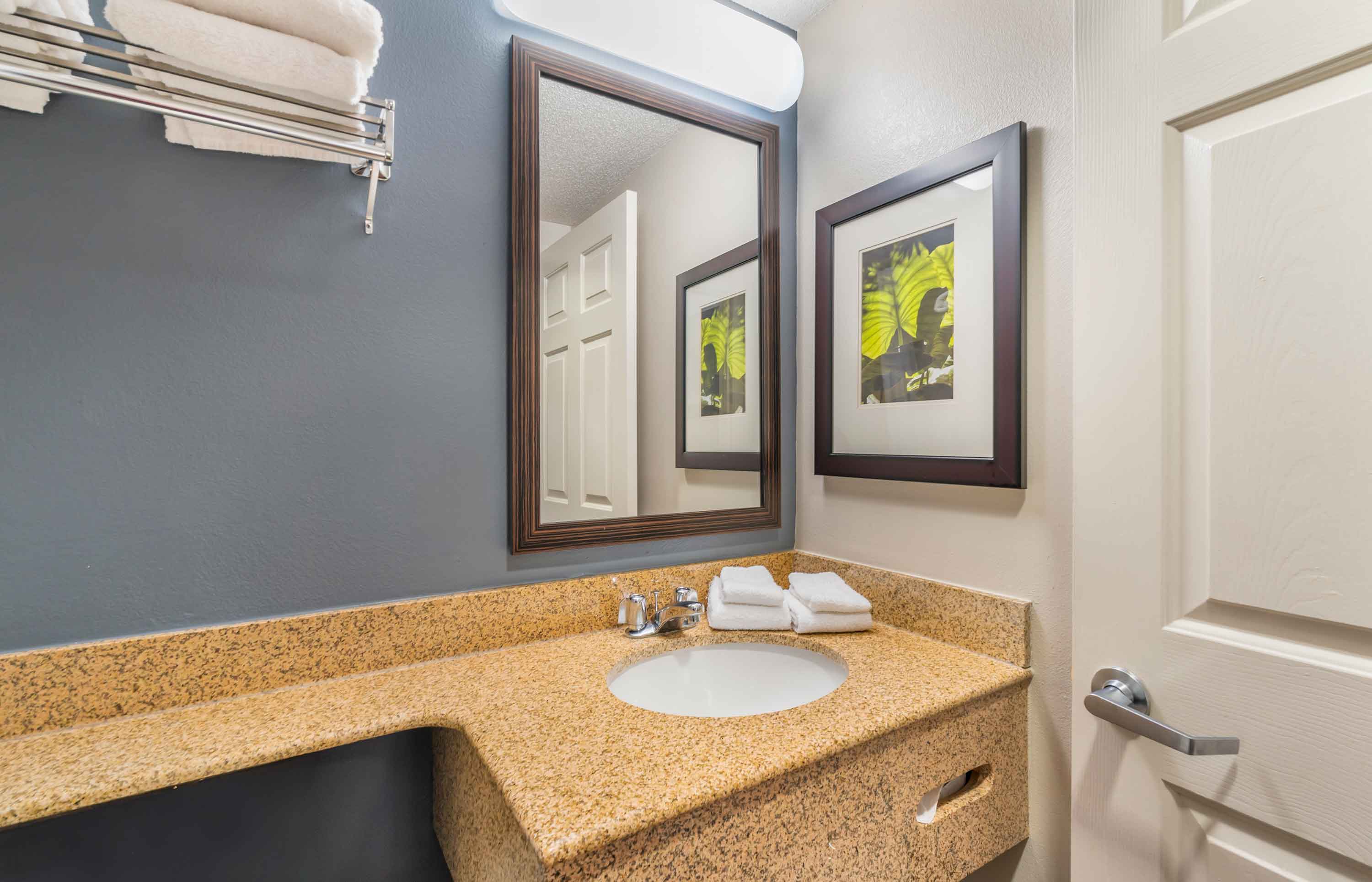 Studio Suite - 1 King Bed