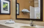 1 Bedroom Suite - 1 King Bed