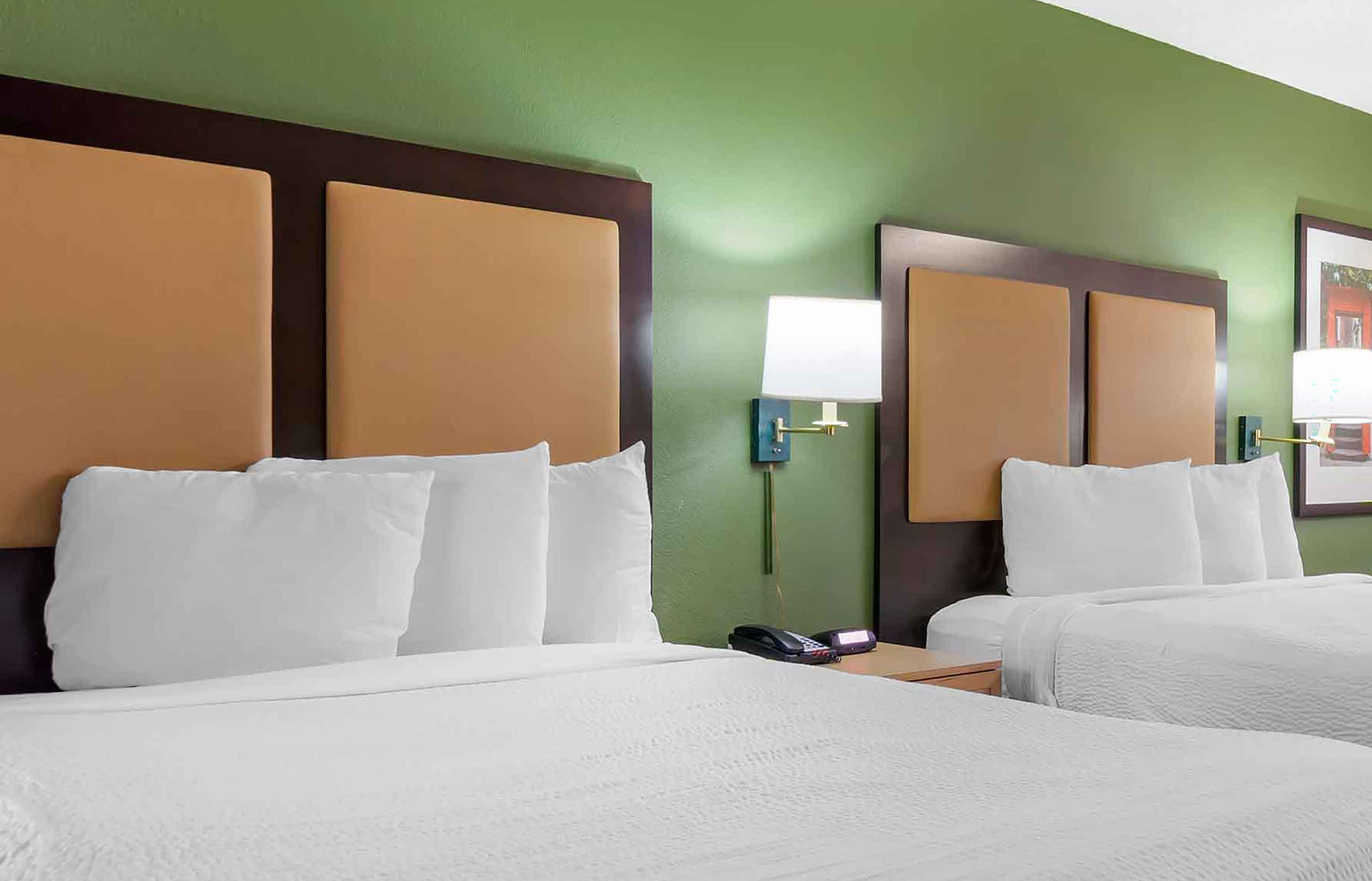 Studio Suite - 2 Full Beds