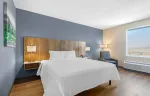 Studio Suite - 1 King Bed