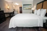Executive Suite - 1 King Bed