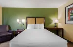 1 Bedroom Suite - 1 Queen Bed