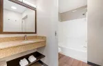 1 Bedroom Suite - 1 King Bed