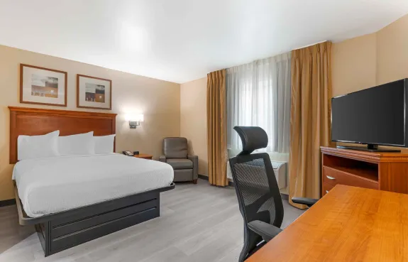 Studio Suite - 1 Queen Bed