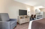 Studio Suite - 1 Queen Bed