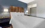 1 Bedroom Suite - 1 Queen Bed