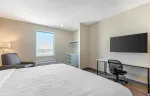 Studio Suite - 1 King Bed